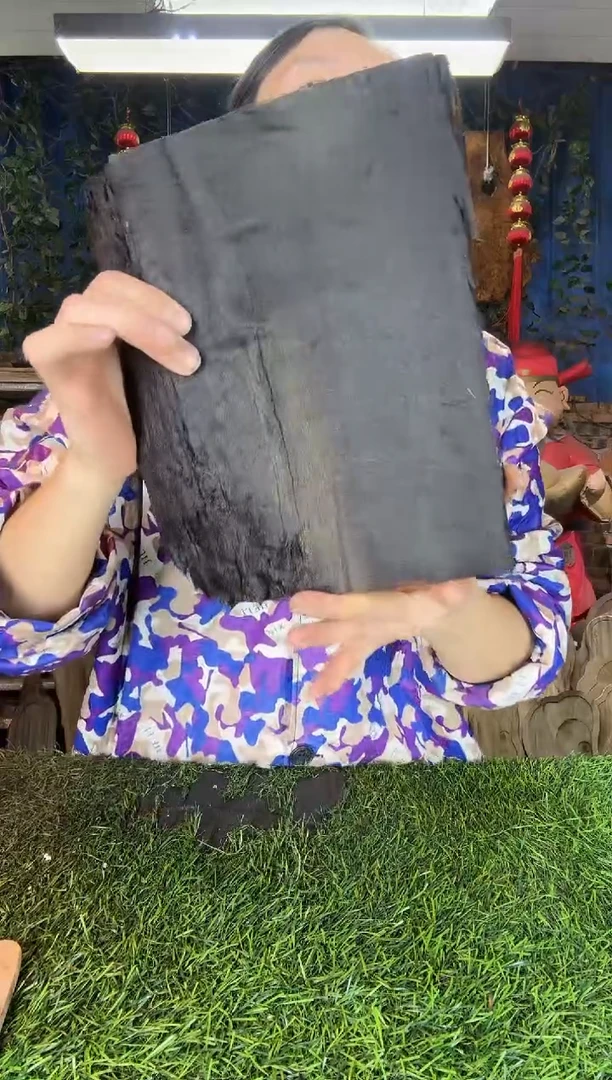 金丝楠小叶桢楠53