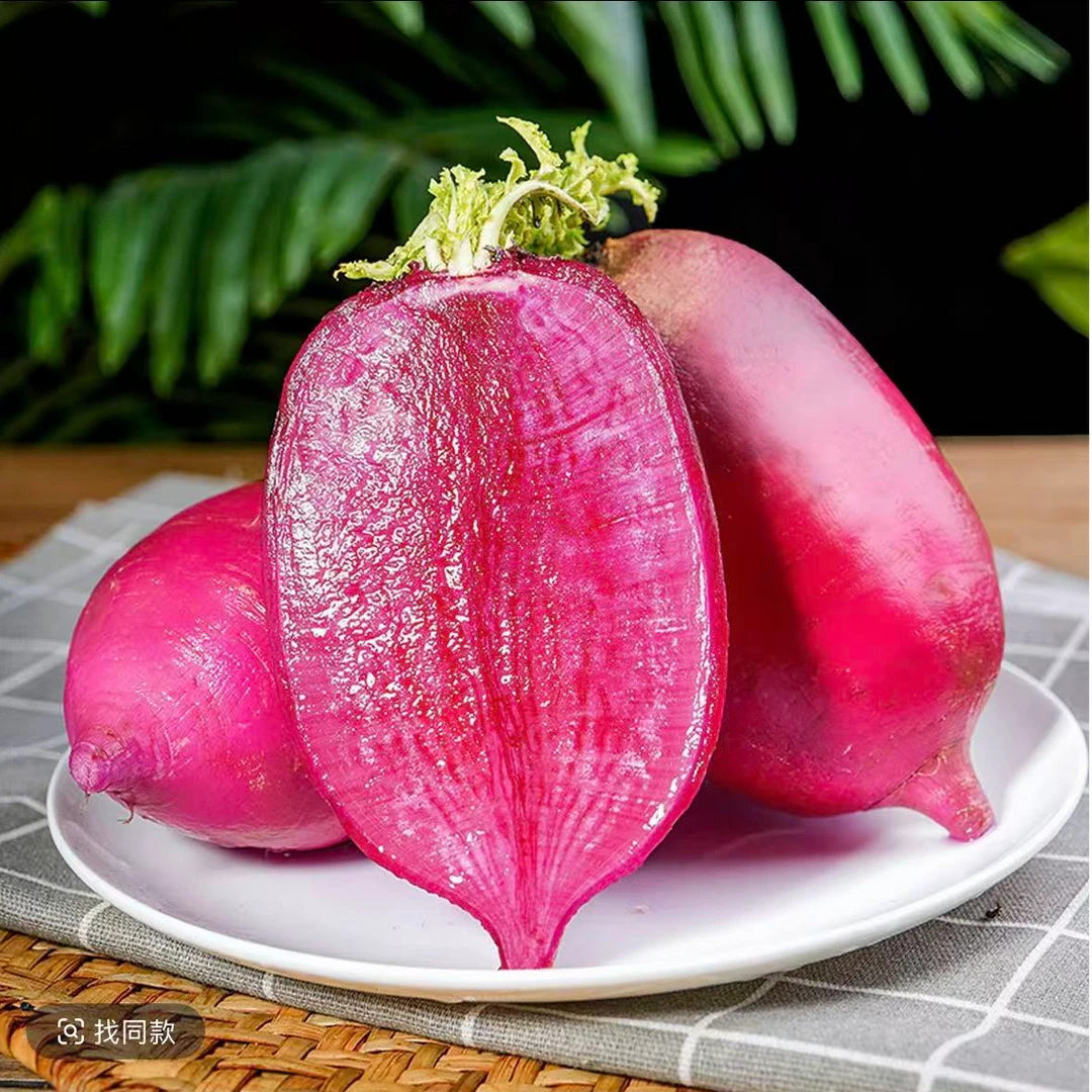【正宗潍县凤梨水果萝卜上市了】生吃沙窝萝卜产地直采24小时到货现拔现发花青素高潍坊水果萝卜头茬送礼