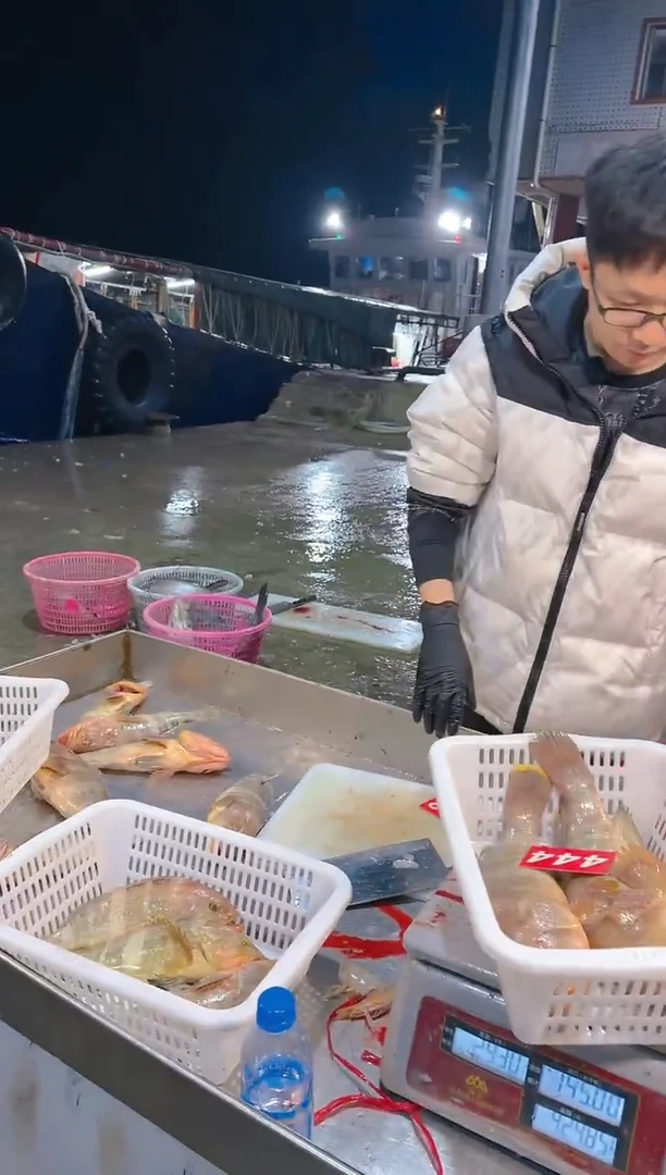 中国大陆鱼***掌斑1111111111