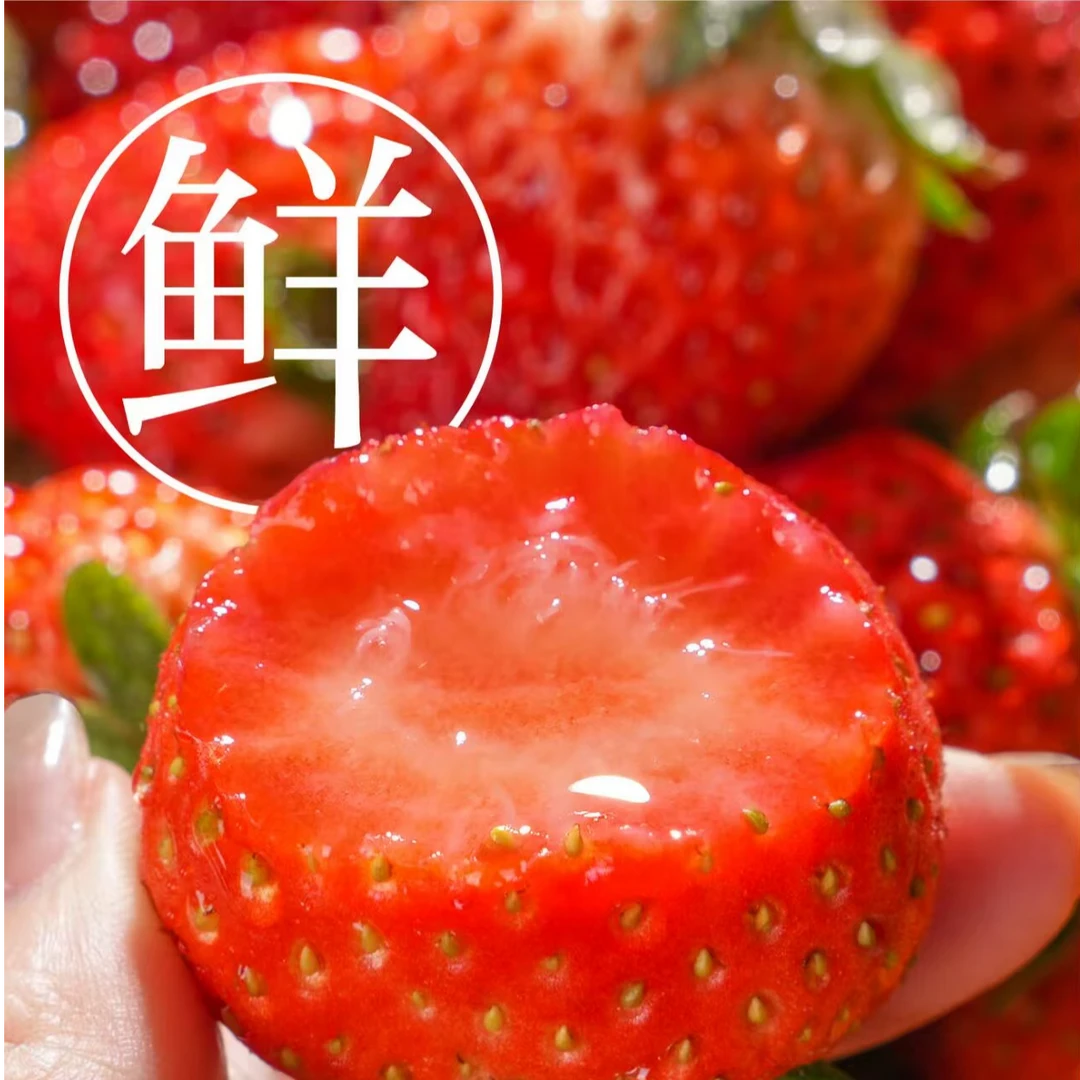 果王【30-35】丹东99新鲜现摘应季水果牛奶红颜草莓空运【TT】
