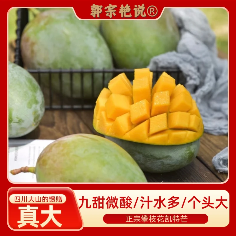 【真大！真凯特芒】四川攀枝花大凯特芒芒果新鲜现摘当季水果精品甜