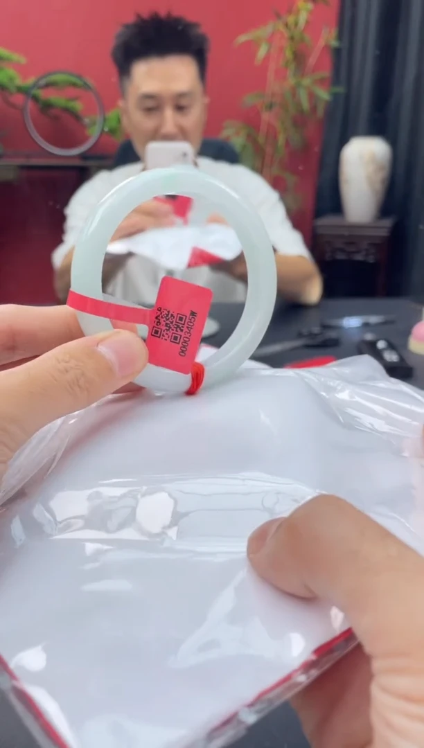 未镶嵌手镯翡翠14