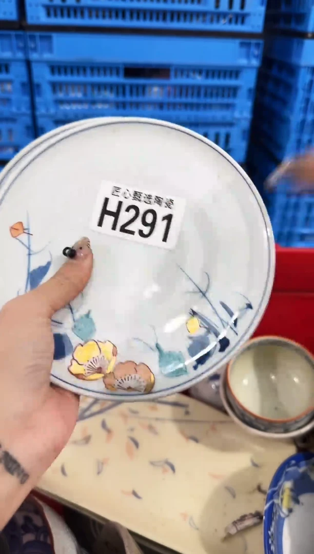 瓷片苗*宝         H291