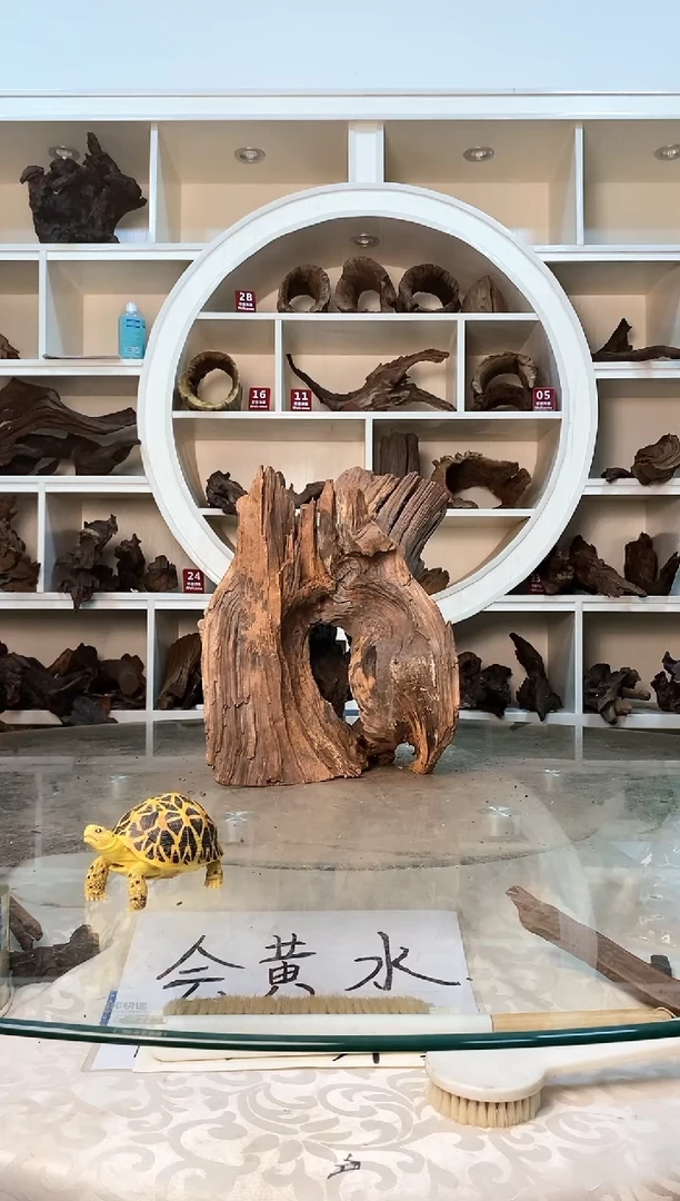 柚木鱼缸造景素材木229