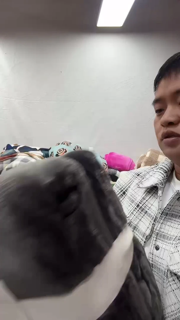 聚酯纤维2.3*2.3灰色毛毯