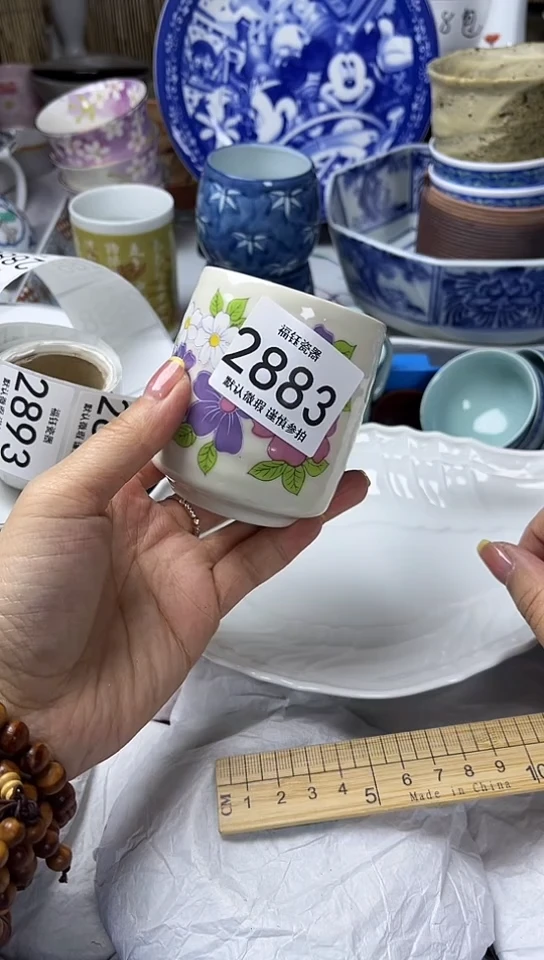 【闪购商品】碟            2883