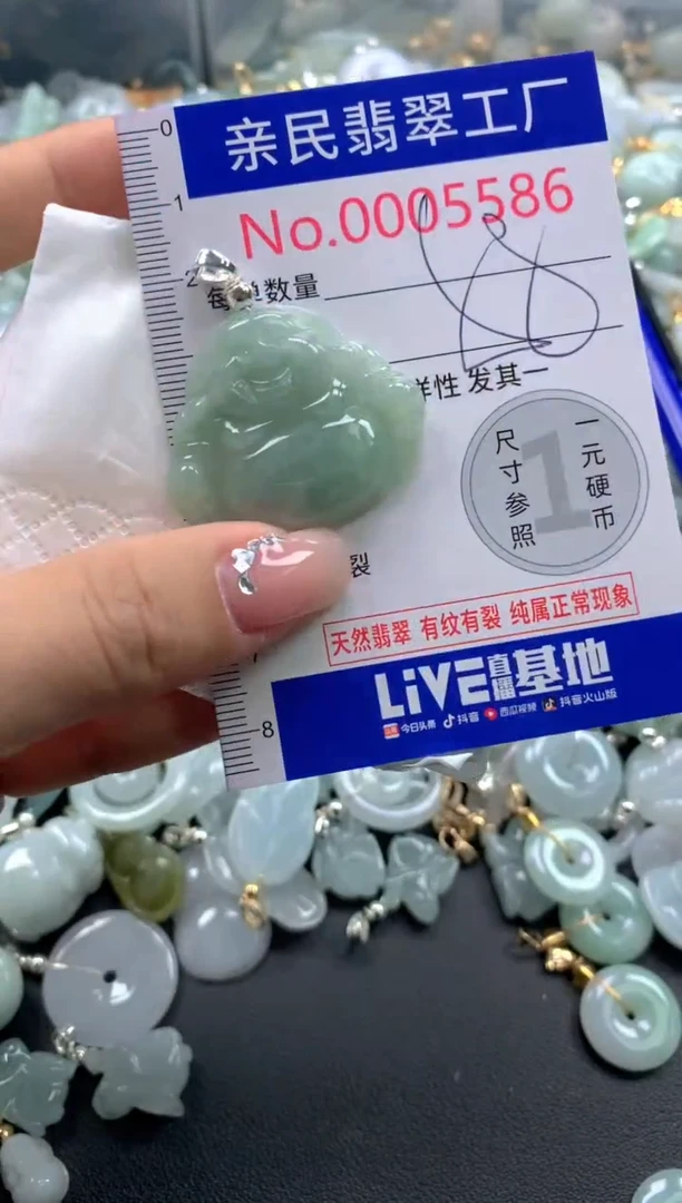 颈饰未镶嵌翡翠5586