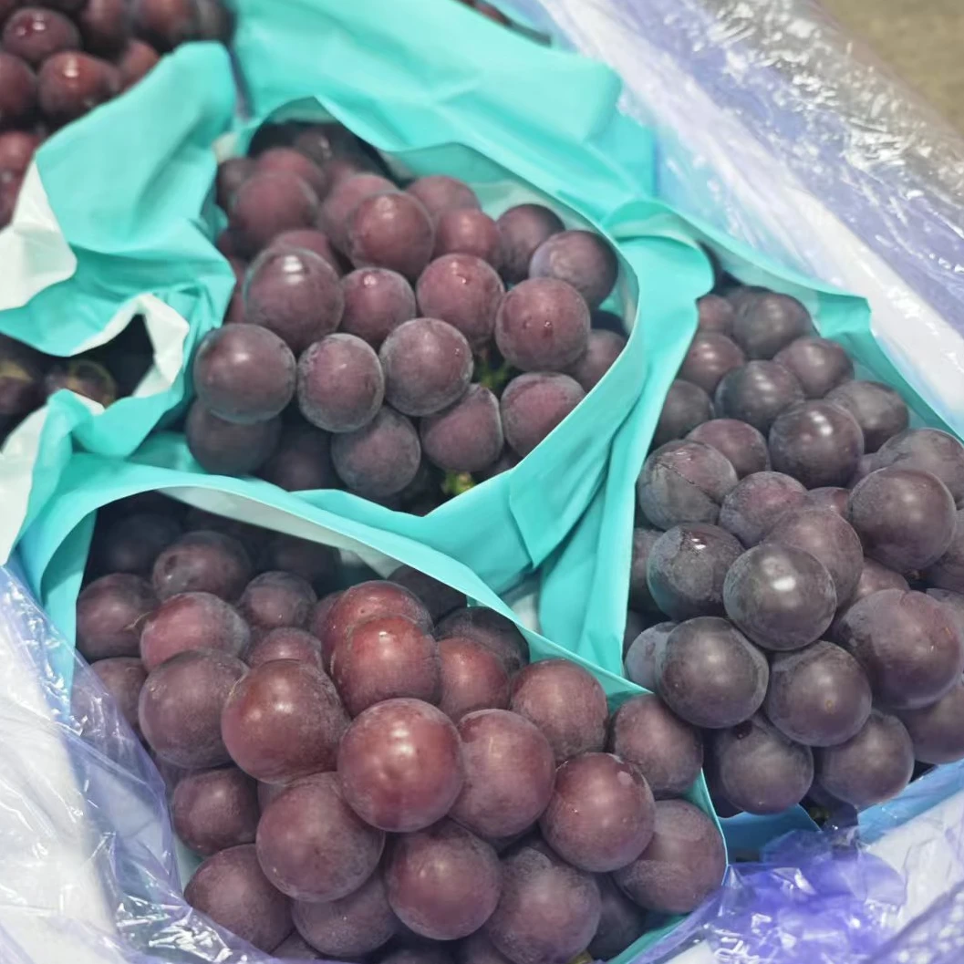 【散称】香甜的辽峰葡萄2.8-3斤  仅大同市平城区云冈区可拍
