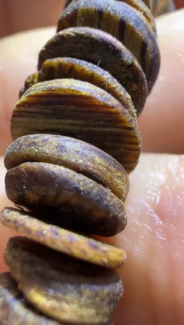 【闪购商品】沉香沉香碎屑809号片片勾丝粉末多样性发一085