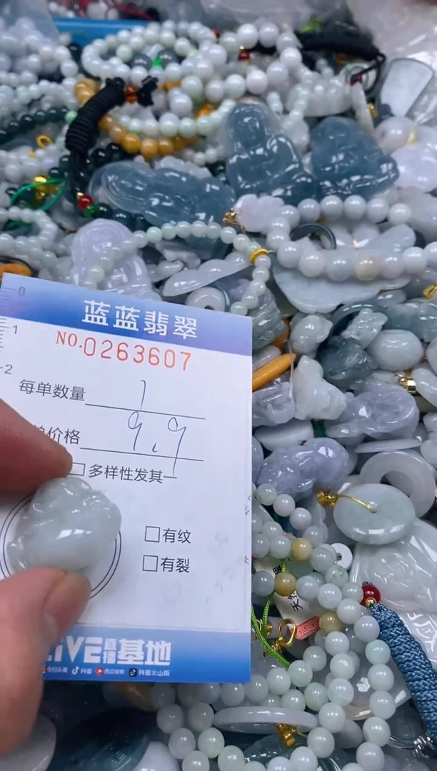 翡翠未镶嵌颈饰闪购0263607