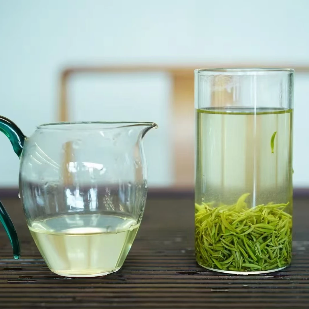 君达茶叶明前高山珍品小芽2025信阳毛尖绿茶礼品茶