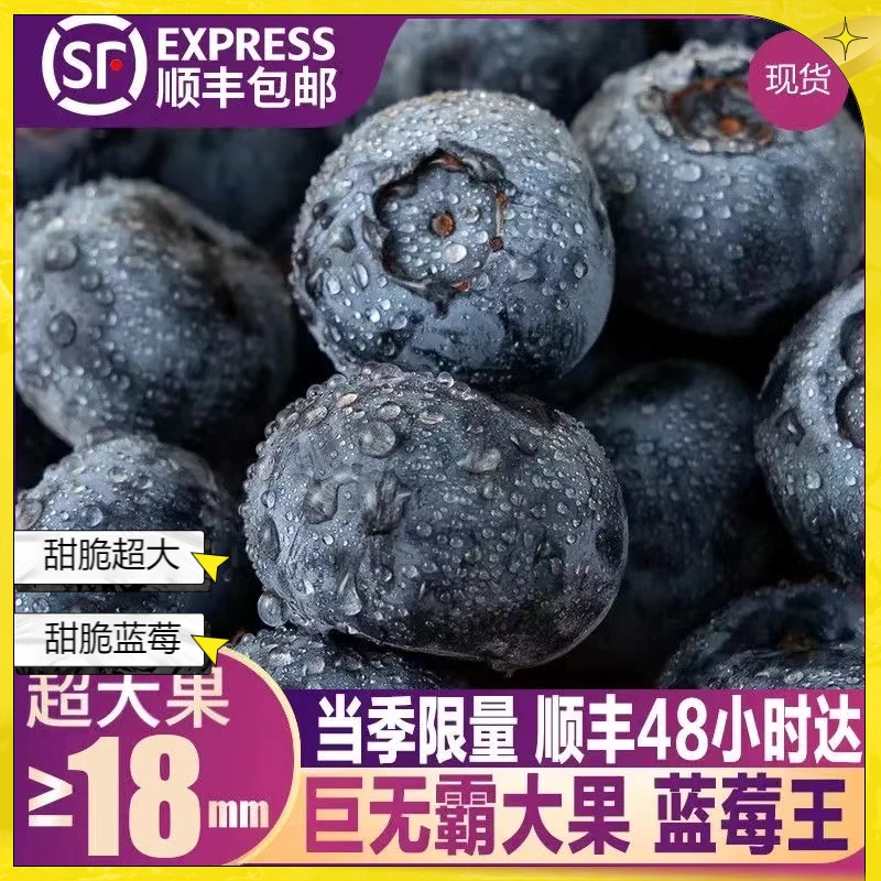 【花香甜脆大蓝莓】L25甜脆超大蓝莓孕妇宝宝辅食丹东蓝莓