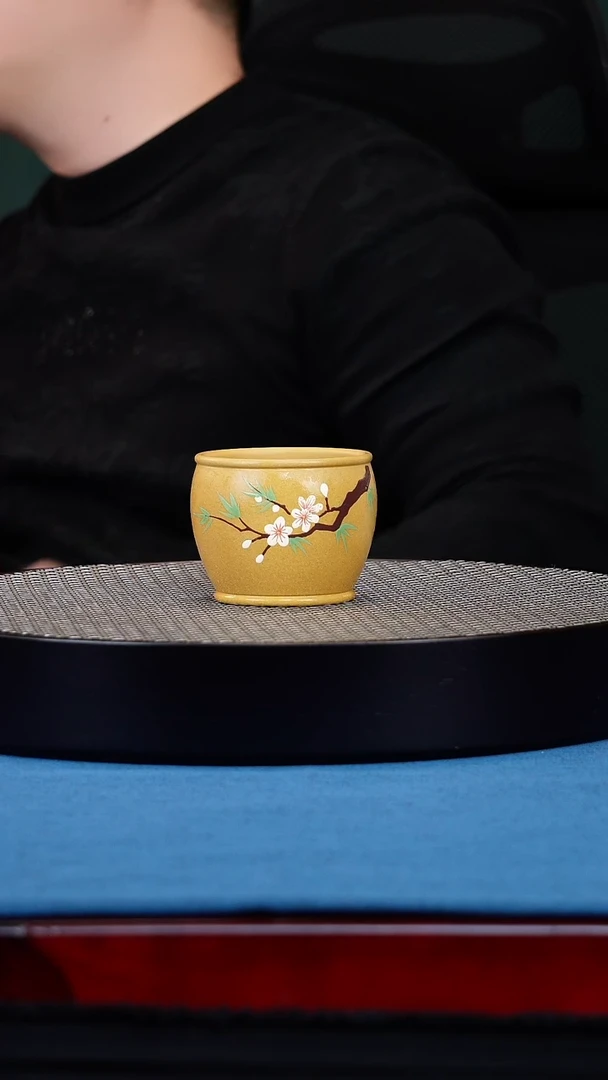 茶杯紫砂宜兴原矿紫砂主人杯