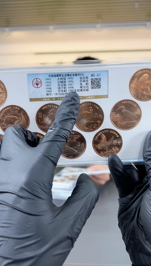 珍稀动物公博套