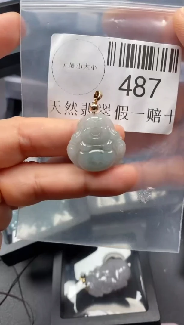 翡翠未镶嵌吊坠(不含链)487