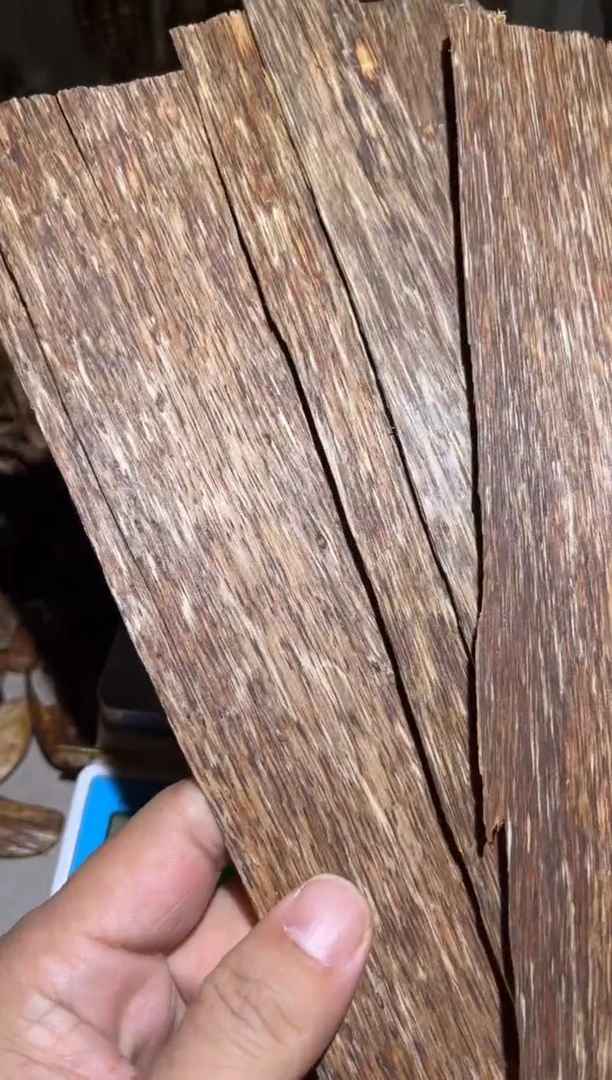 沉香沉香碎屑菜*谭 芽庄66（克）