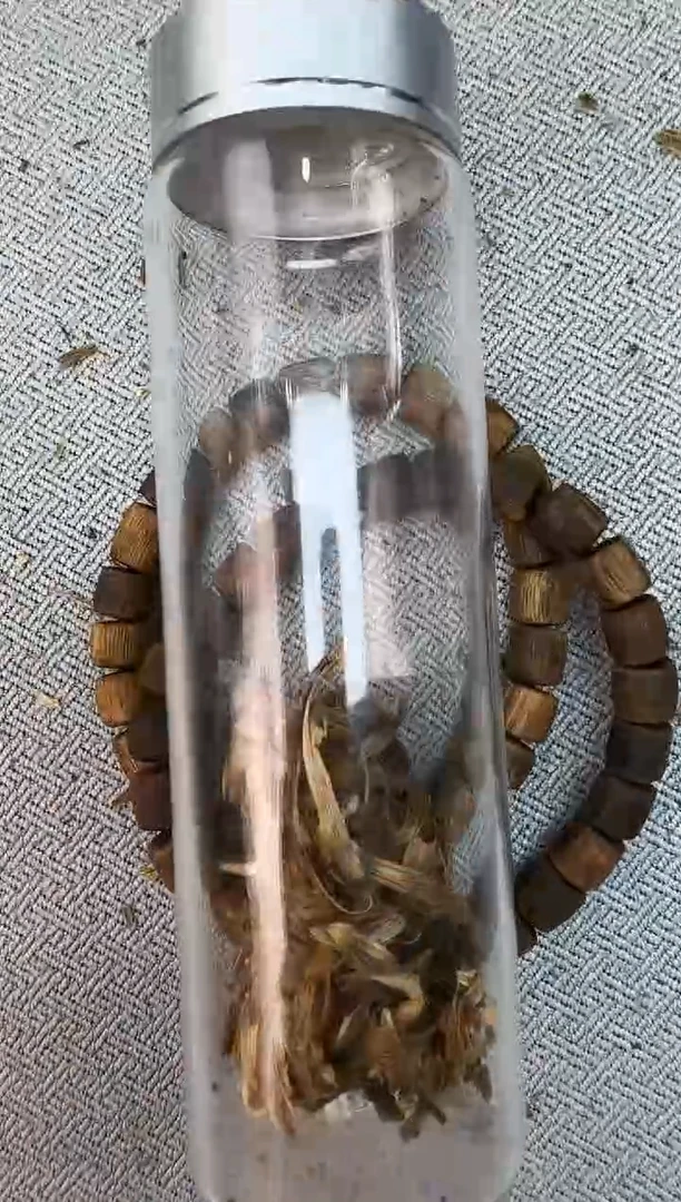 沉香碎屑沉香0707桶静静沉香甄选多样性发一