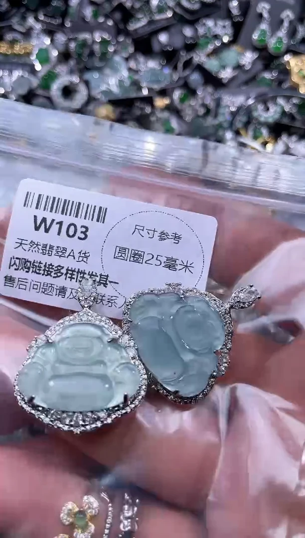 【闪购商品】翡翠颈饰未镶嵌W103多样性发其一
