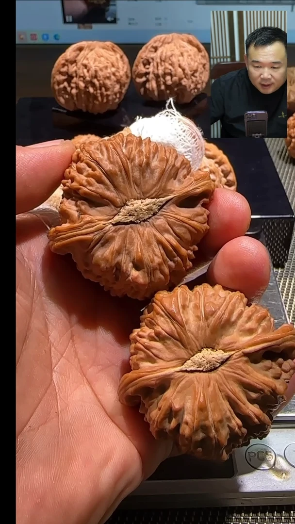 文玩核桃吊坠白狮子50