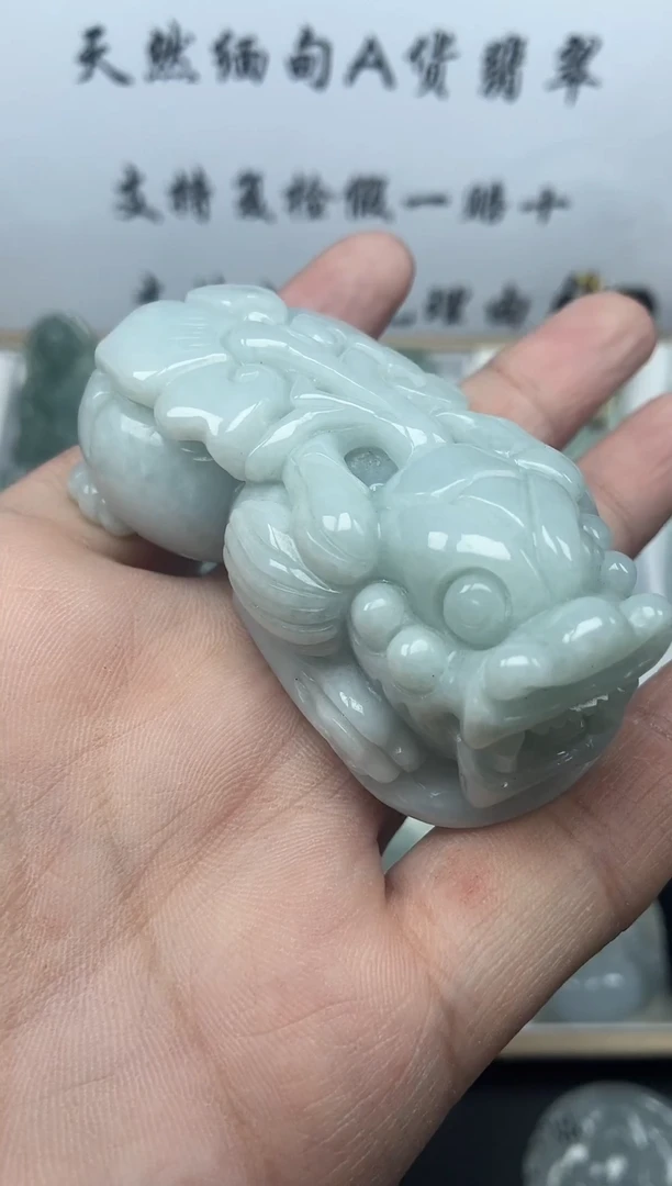 颈饰未镶嵌翡翠貔貅