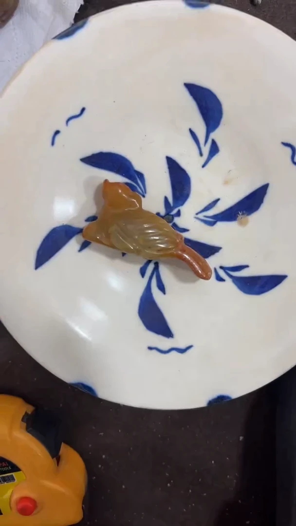 瓷片手绘，手绘，瓷器