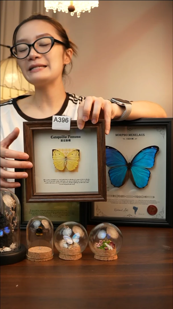 黄迁粉蝶（6寸方胡桃色新款框）A396