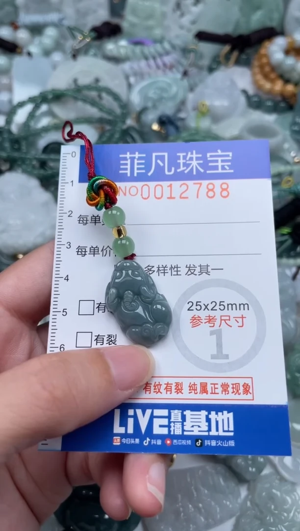 颈饰未镶嵌翡翠12788