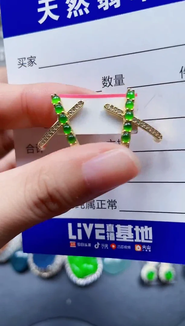 银S925镶嵌翡翠耳饰149