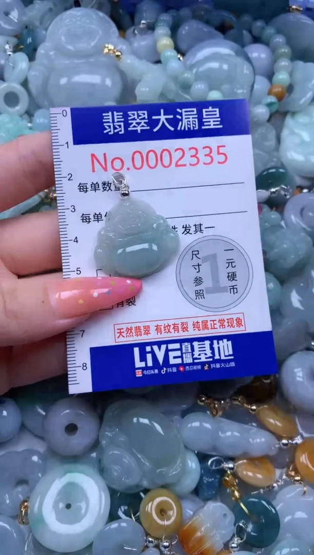 翡翠未镶嵌吊坠(不含链)2335多样性发其一