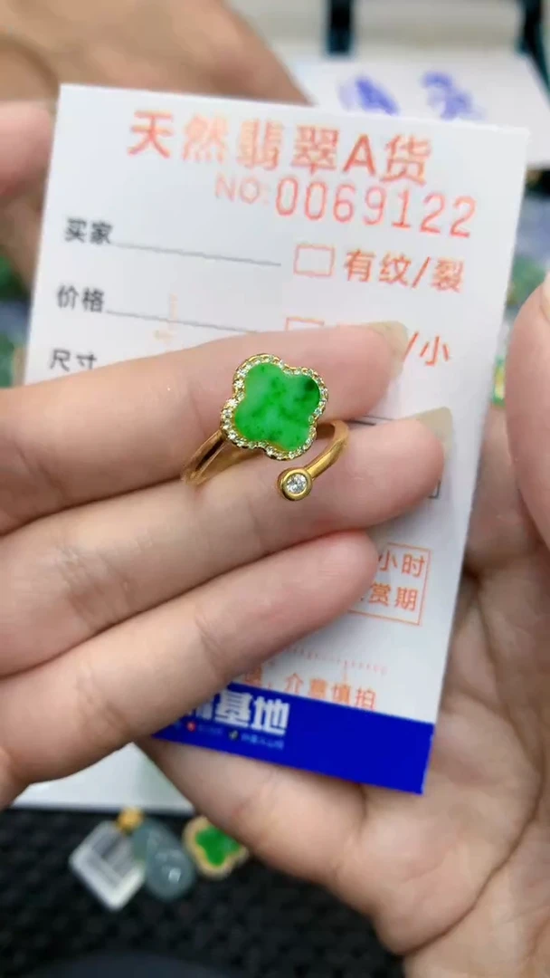 【闪购商品】翡翠颈饰银S925镶嵌            8