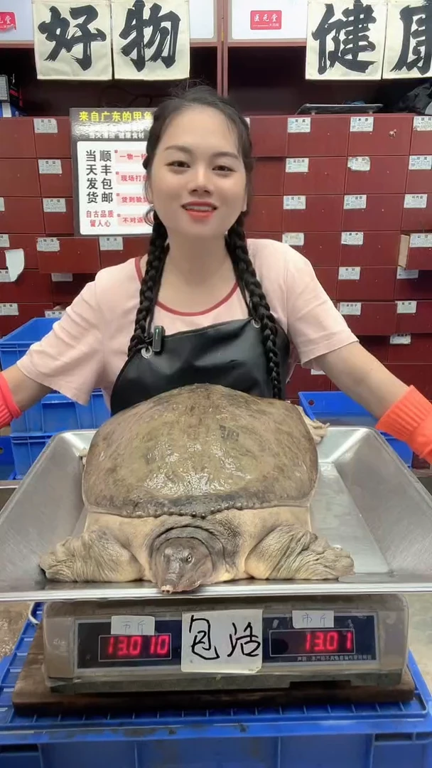 中国大陆卡*王13斤一只