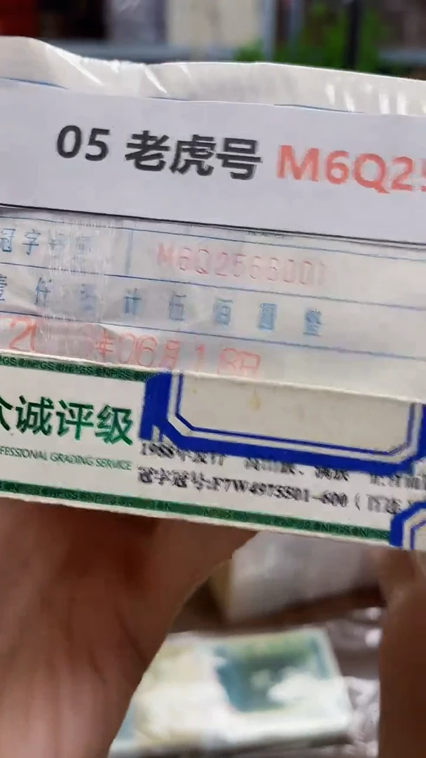 M 05 老虎号 M6Q2566666