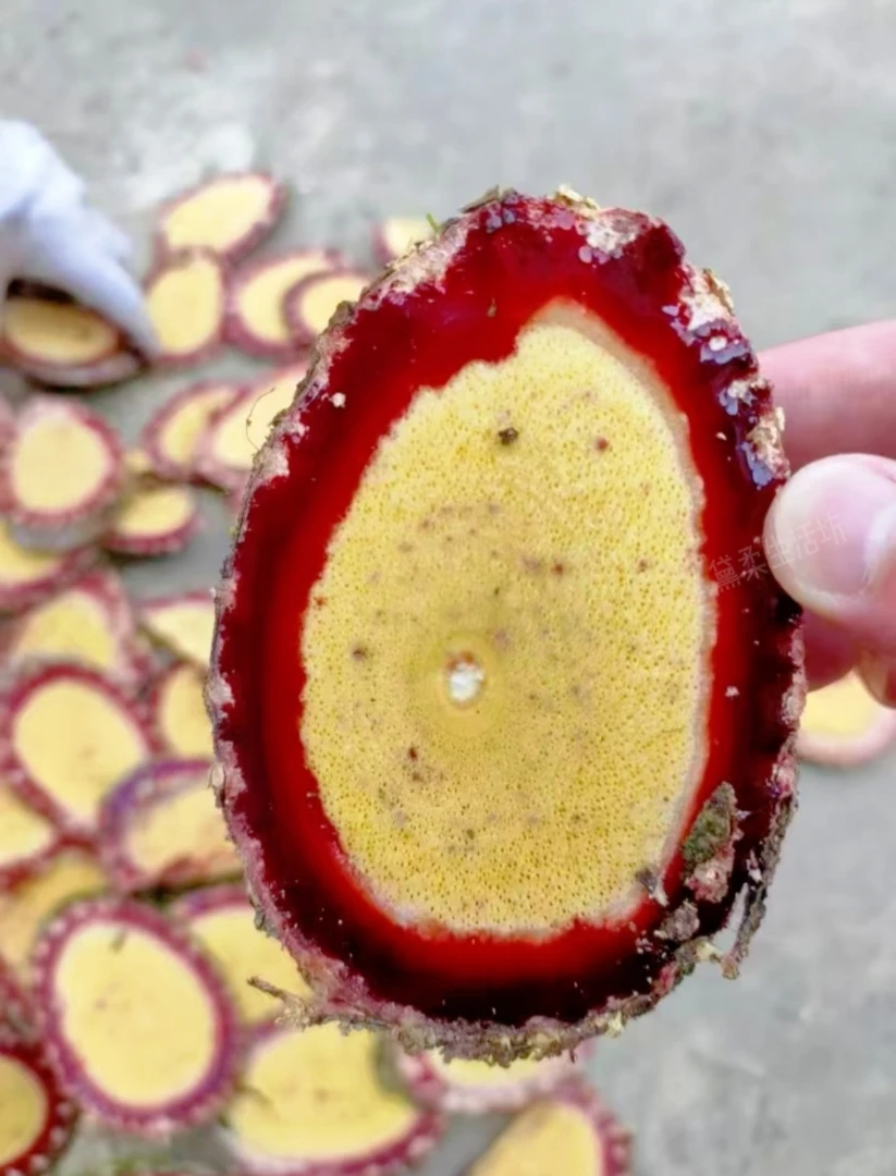 广西大山五叶鸡血藤2百年老藤自然晒干无硫干片女性滋补必备