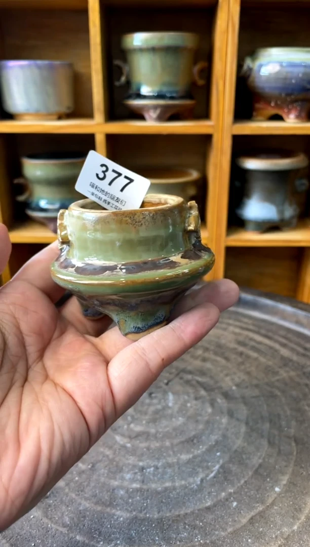 377【多肉花盆多肉盆】