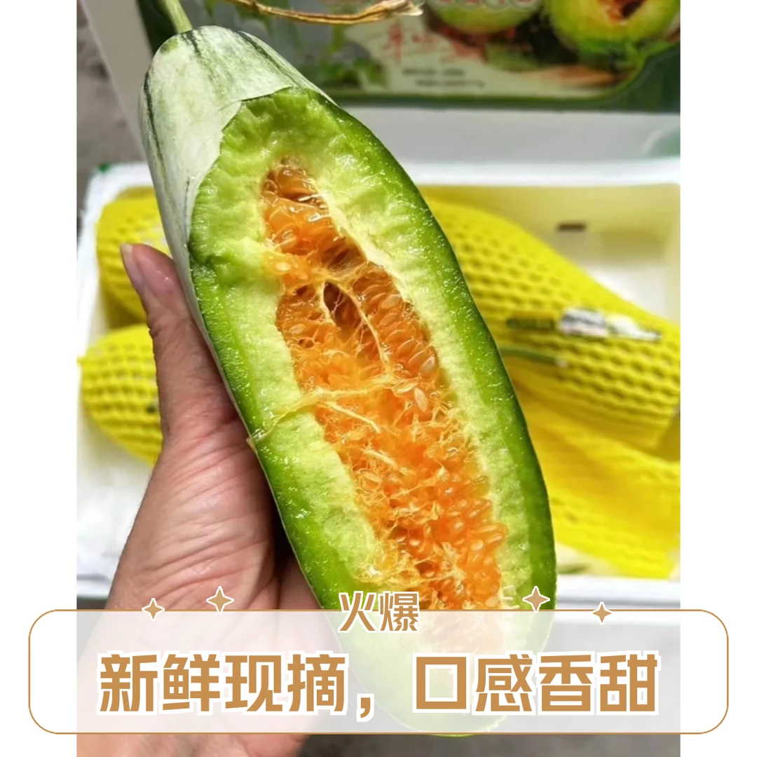 博洋6号羊角蜜甜瓜小箱（3-4个果）