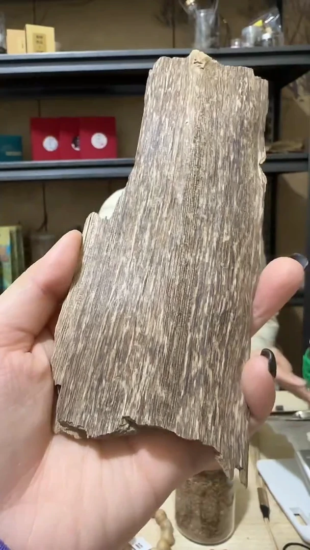 【闪购商品】沉香摆件96号海南野料24克+