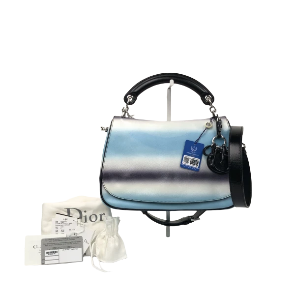 95新/迪奥/妃鱼/单肩包/市场价0/250210LT0027