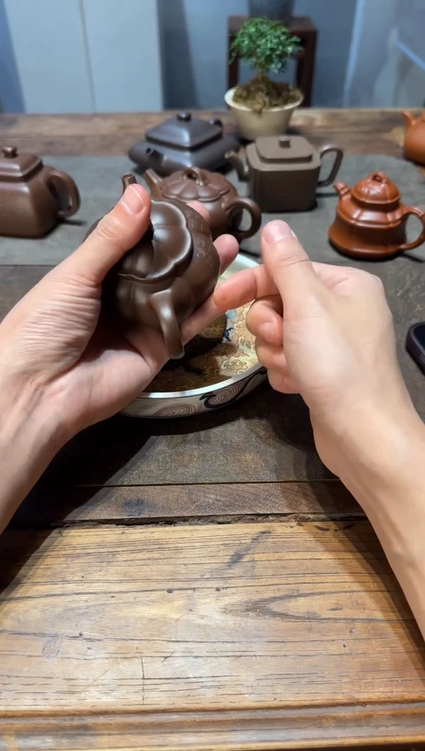 茶壶紫砂喜*郎大鱼海棠