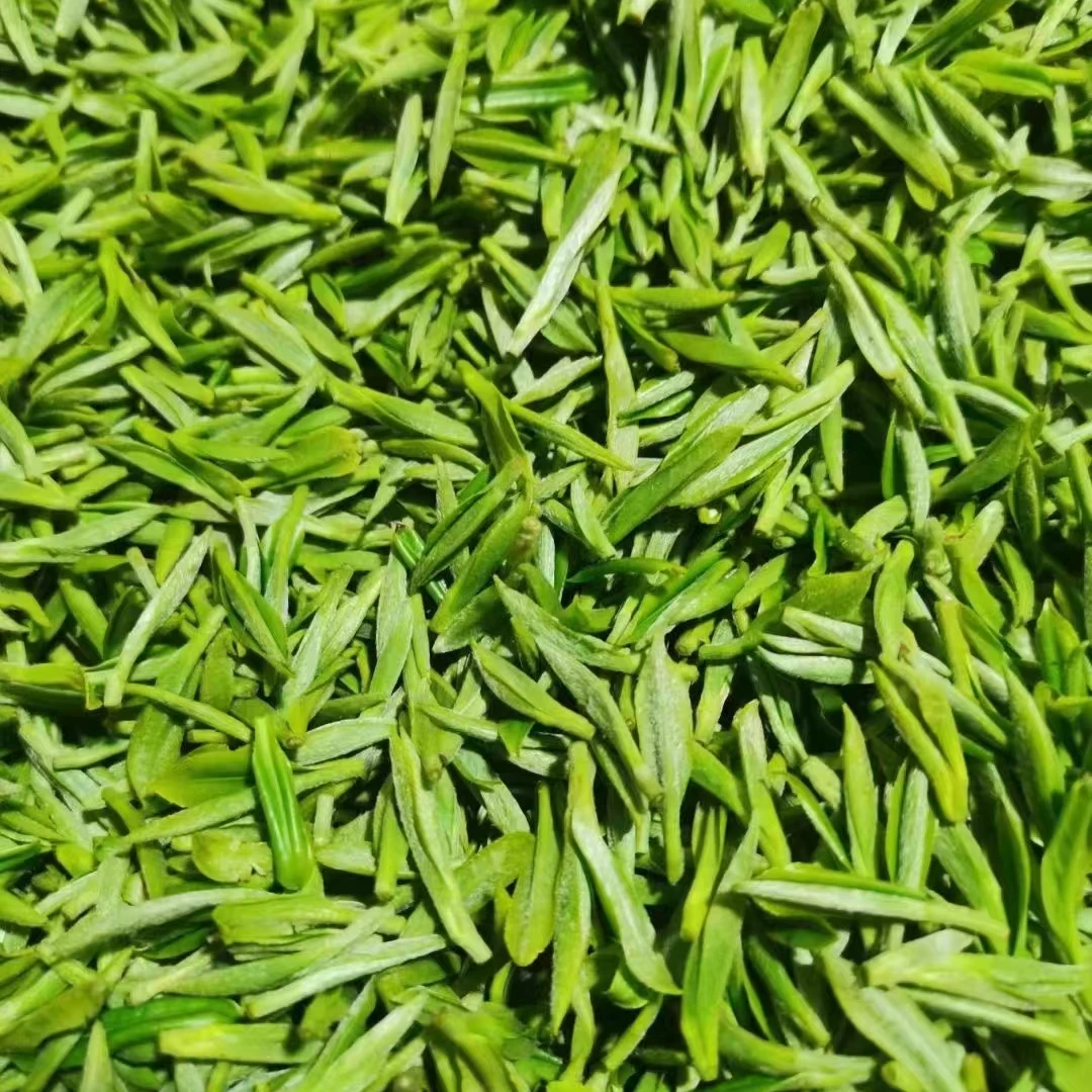 2025年新款碧螺春炒青