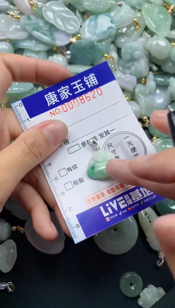 颈饰未镶嵌翡翠8620