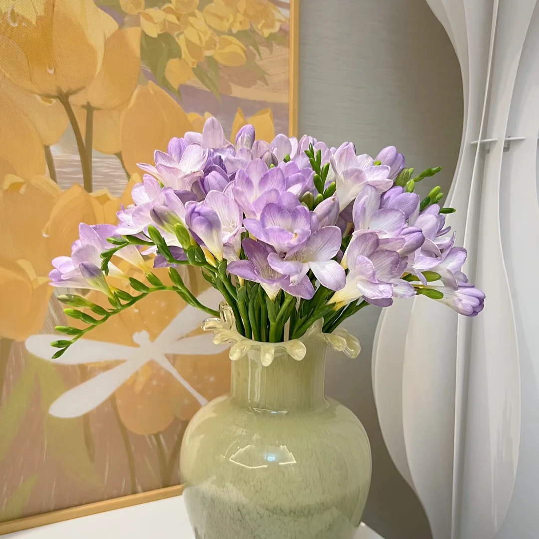 香雪兰1扎颜色随机（家庭瓶插花）