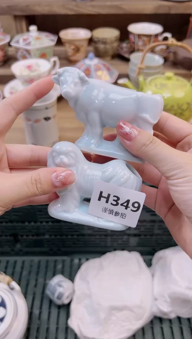 瓷片杨*洋      349