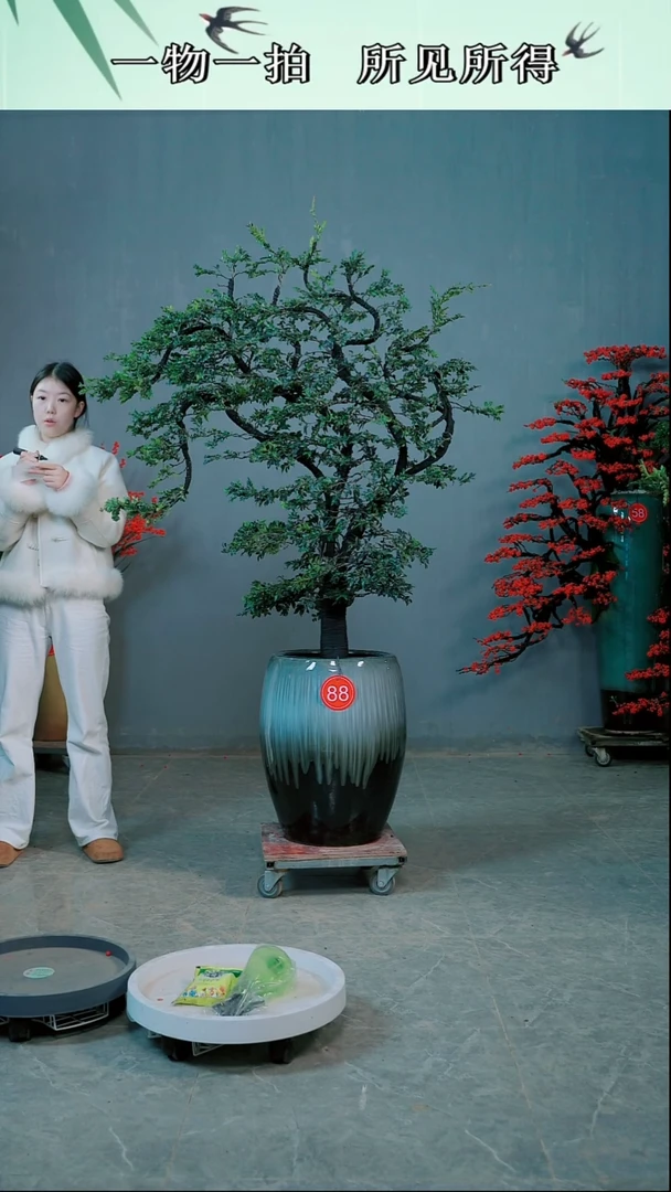 以实际为准S****g广东小叶紫檀*88