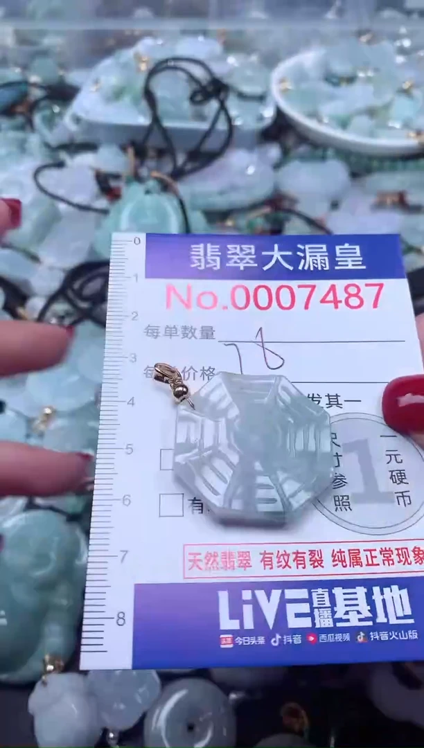 颈饰未镶嵌翡翠7487
