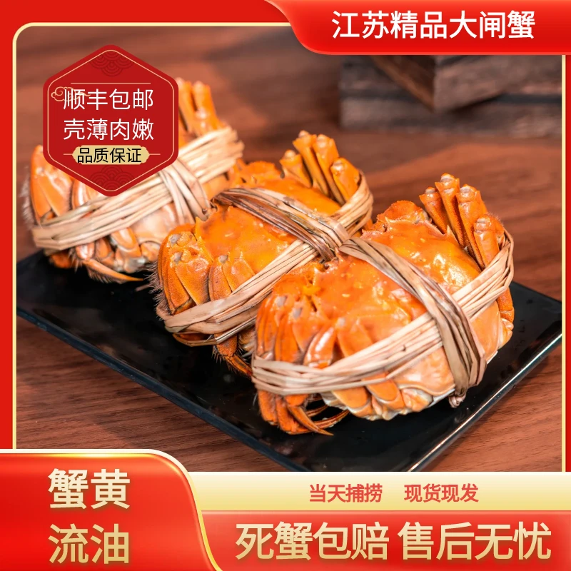【活蟹】江苏精品大闸蟹公3.6-3.3两母3.6-3.3两8只加2只到手10只
