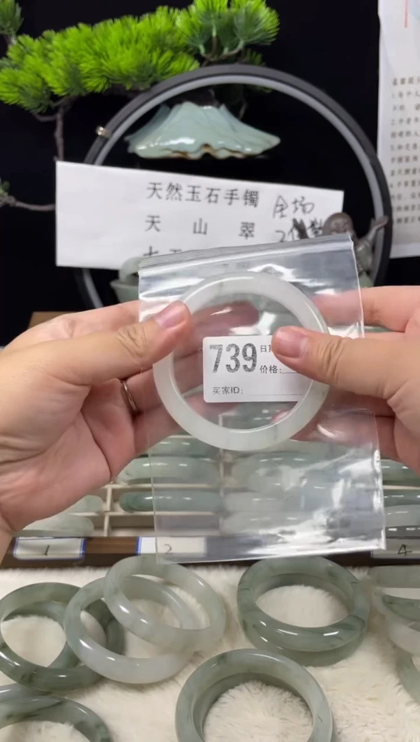未镶嵌手镯石英质玉（天山翠）739