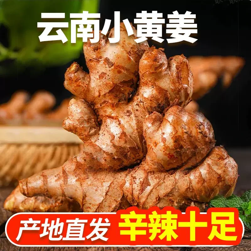 小黄姜云南高山新鲜现挖姜香山地种植月子姜老姜生姜