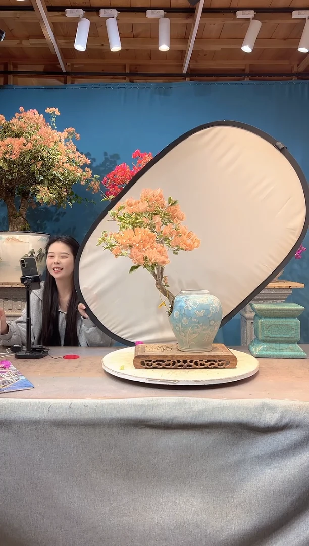 少量花朵（建议范围：2朵-5朵 或40%以下）金边马斯