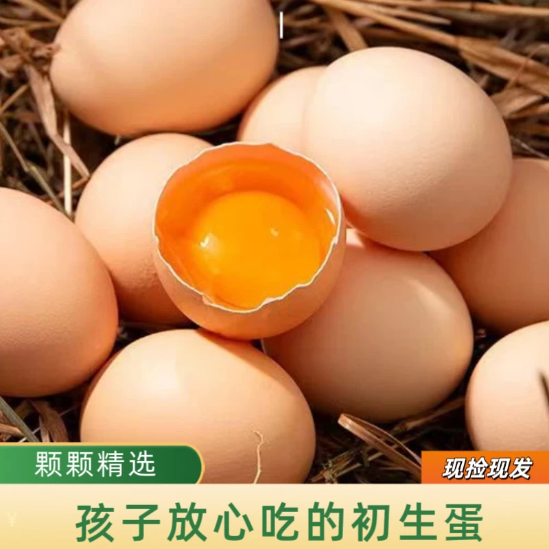 麻笑笑乡村散养农家土鸡蛋30枚/箱