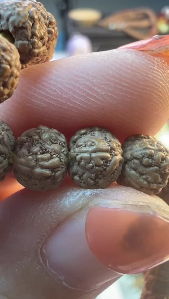 【闪购商品】金刚菩提手串690原桩葛地利一代龙尺寸6-7+左右